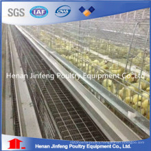 High Quality and Low Price Auto Design Pullet Chicken Cage